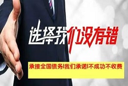 专业要债公司的债务处理策略