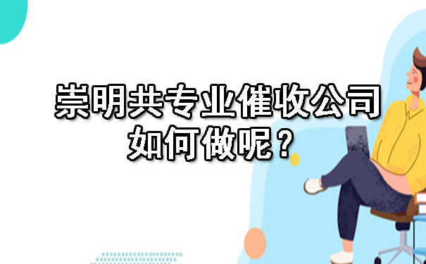 崇明共专业催收公司如何做呢？