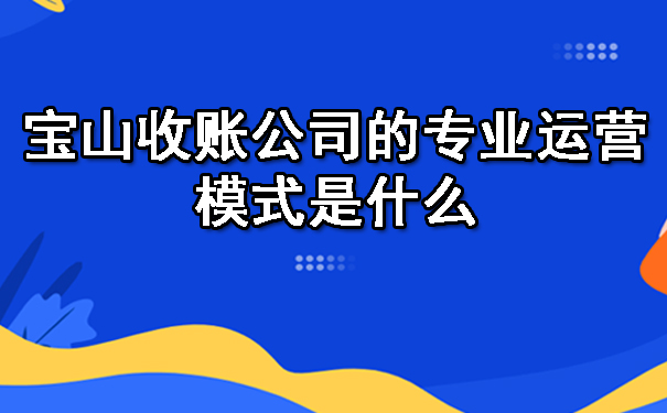 宝山收账公司的专业运营模式是什么