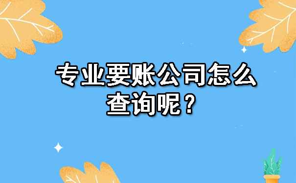 专业要账公司怎么查询呢?