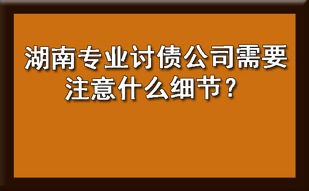 湖南专业讨债公司需要注意什么细节?