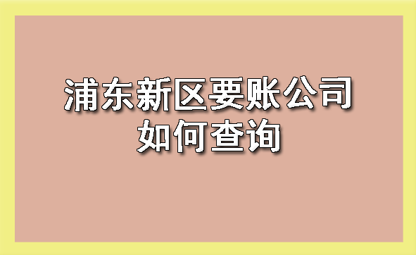 浦东新区要账公司如何查询