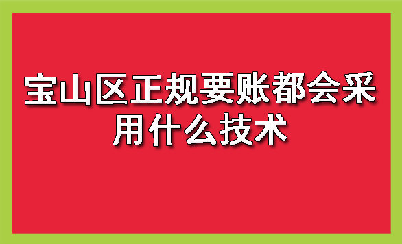 宝山区正规要账都会采用什么技术
