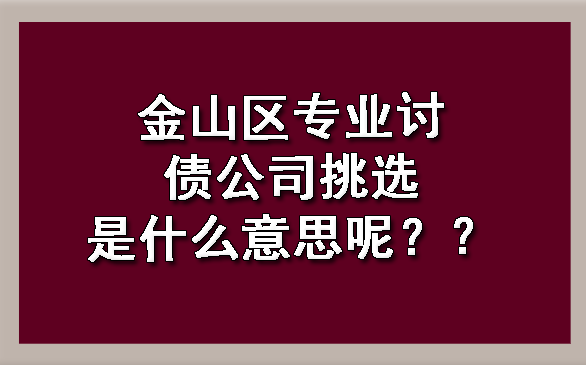 金山区专业讨债公司挑选是什么意思呢?