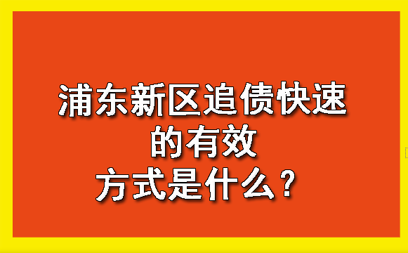 浦东新区追债快速的有效方式是什么?