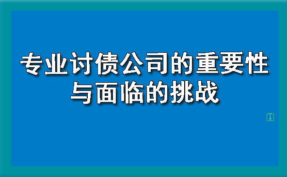 天津专业讨债公司的重要性与面临的挑战