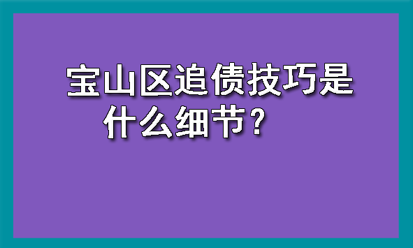 宝山区追债技巧是什么细节?