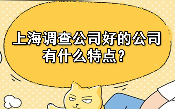 上海调查公司好的公司有什么特点?