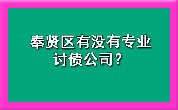 奉贤区有没有专业讨债公司?