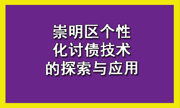 崇明区个性化讨债技术的探索与应用
